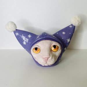 Sphynx au Bonnet
